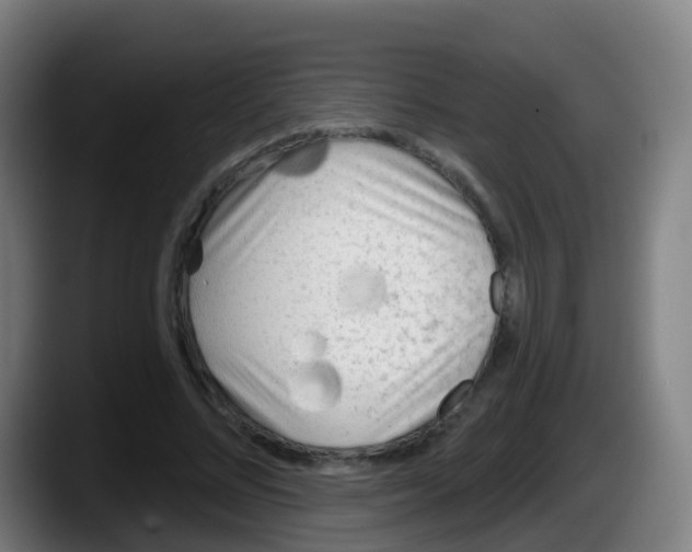 X0000087610684200705251943