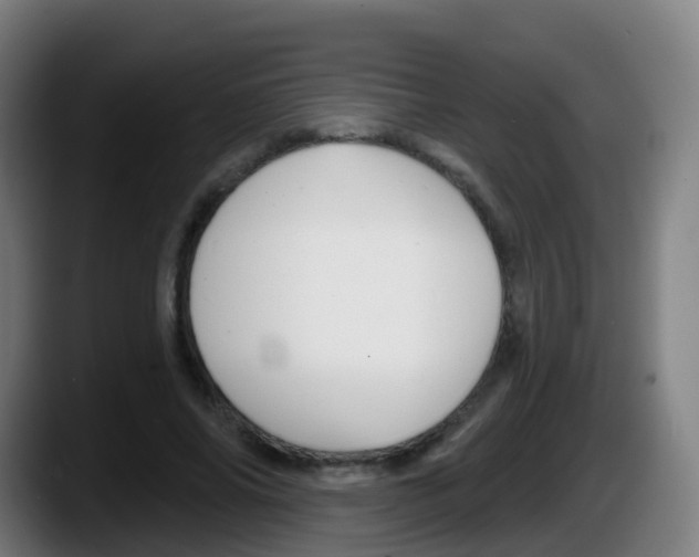 X0000087610686200705251943