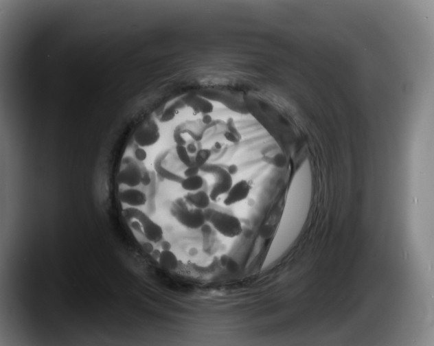 X0000087610687200705251943