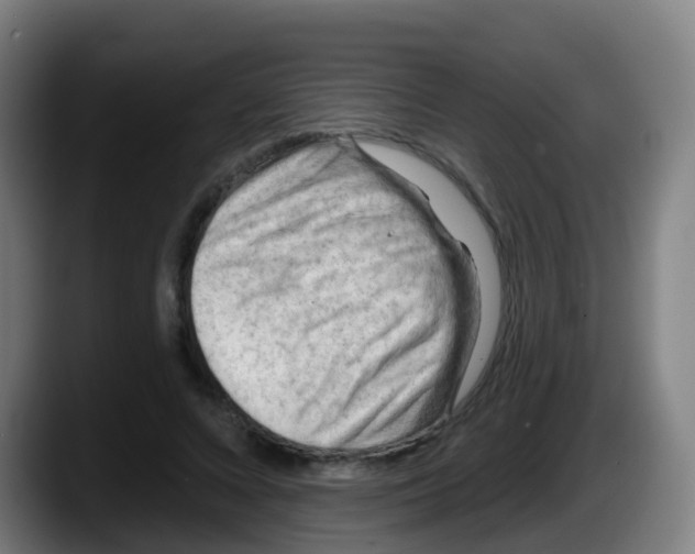 X0000087610688200705251943