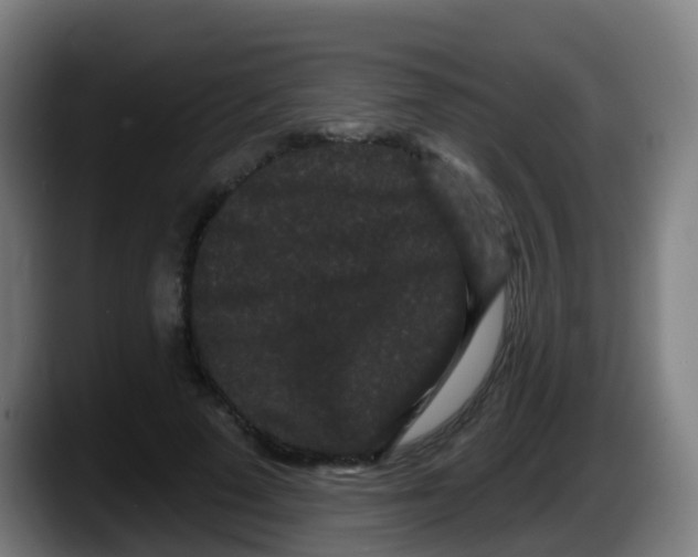 X0000087610689200705251943