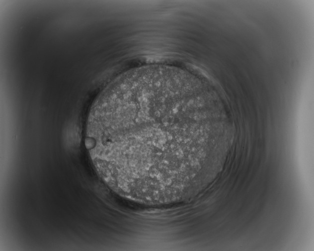 X0000087610691200705251943