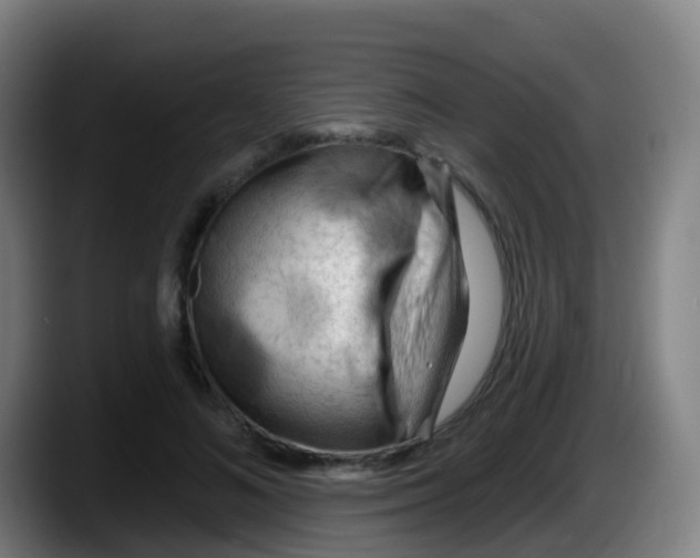 X0000087610692200705251943