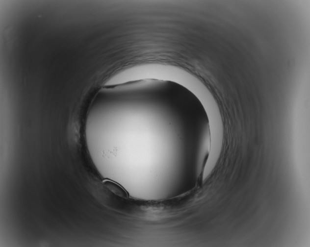 X0000087610693200705251943