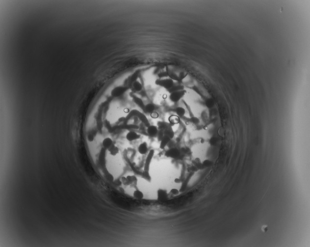 X0000087610695200705251942