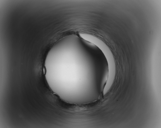 X0000087610697200705251942