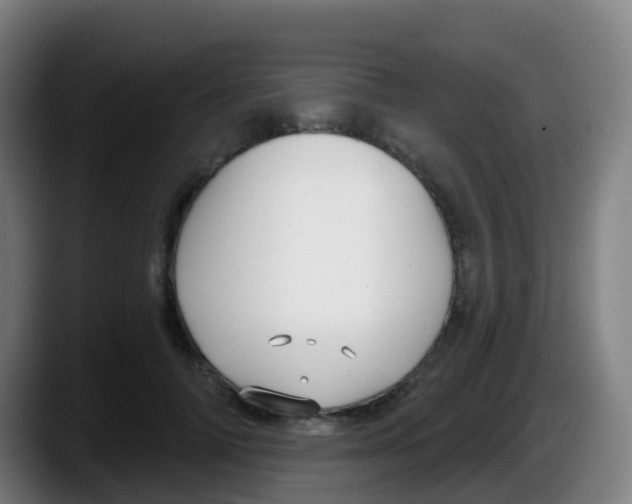 X0000087610698200705251942