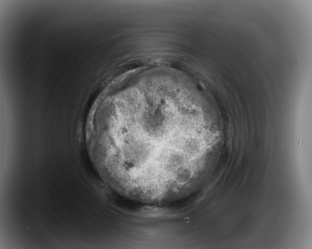 X0000087610699200705251942