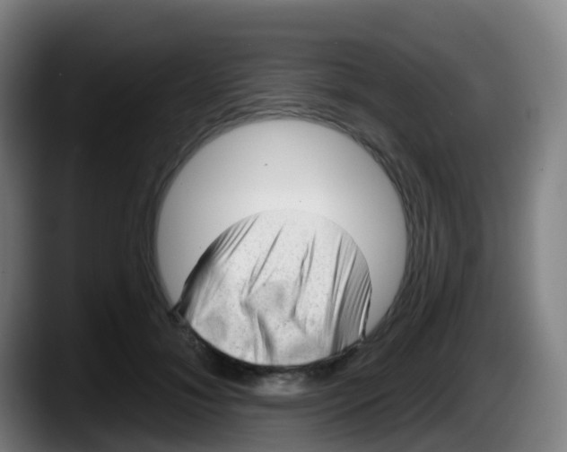 X0000087610700200705251942