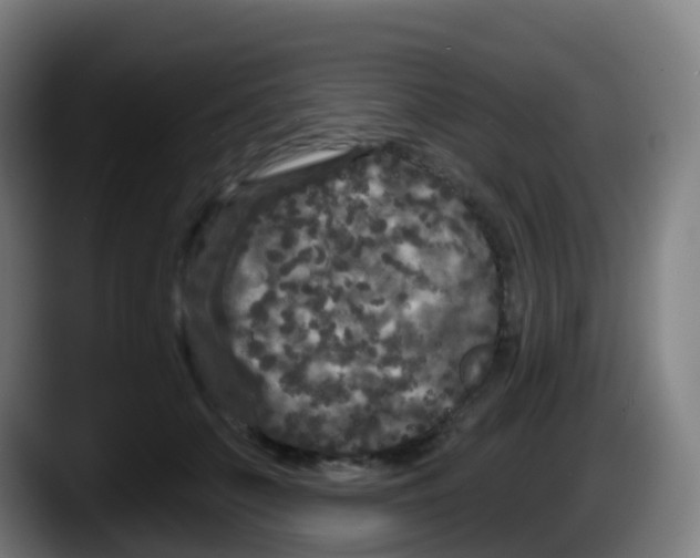 X0000087610703200705251942