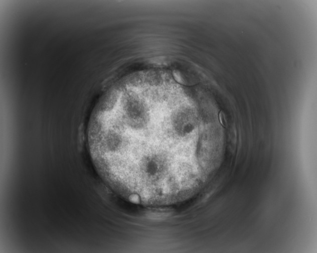 X0000087610707200705251942