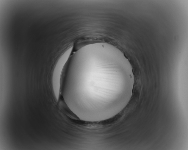 X0000087610708200705251942