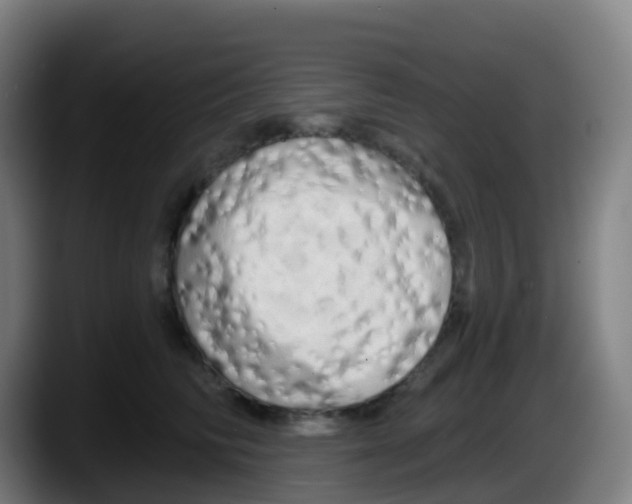 X0000087610710200705251942