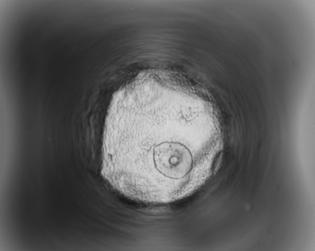 X0000087610711200705251942