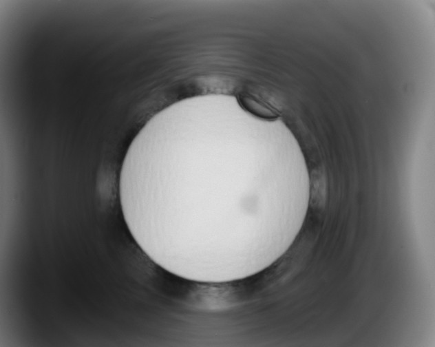 X0000087610713200705251942