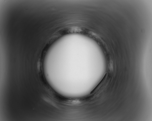 X0000087610715200705251942