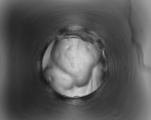 X0000087610716200705251942