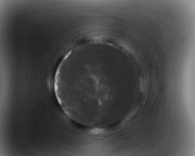 X0000087610718200705251942