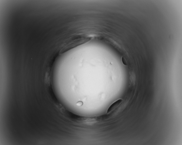 X0000087610719200705251942