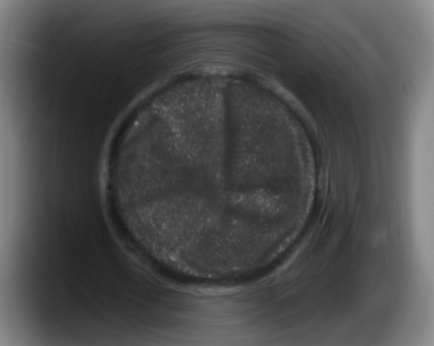 X0000087610722200705251942