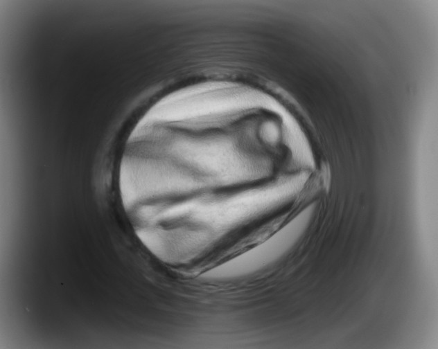 X0000087610723200705251942