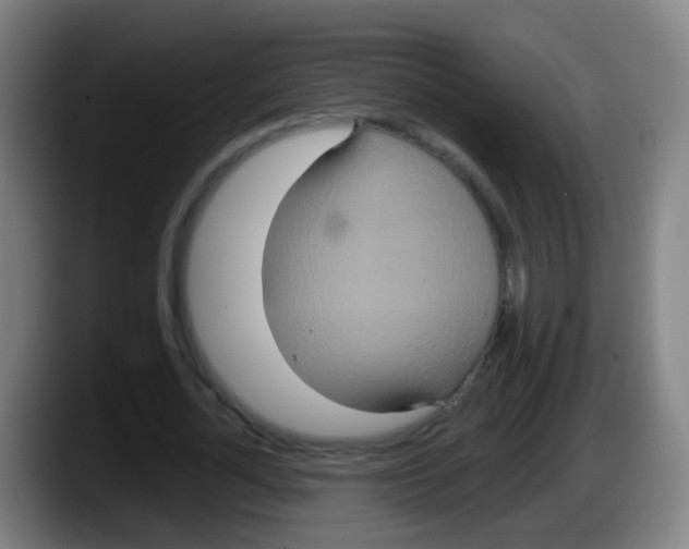 X0000087610724200705251942