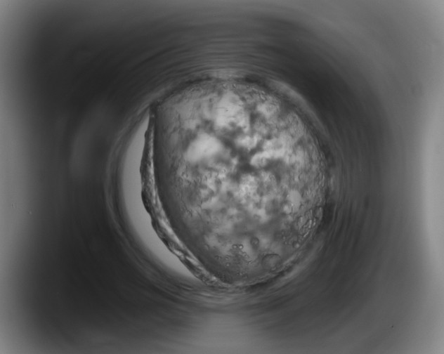 X0000087610725200705251942