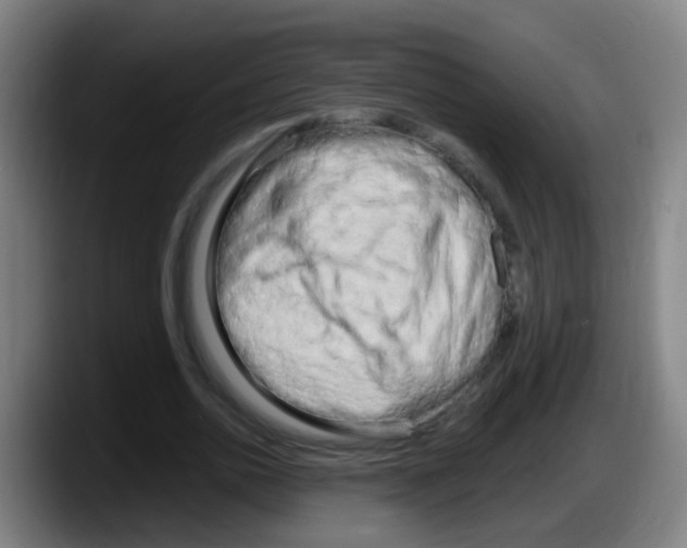 X0000087610726200705251942