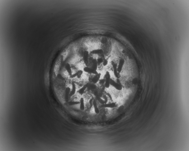 X0000087610729200705251942