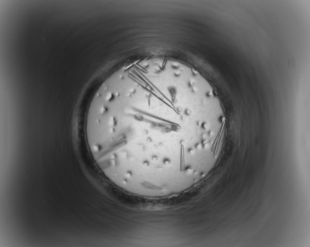 X0000087610730200705251942