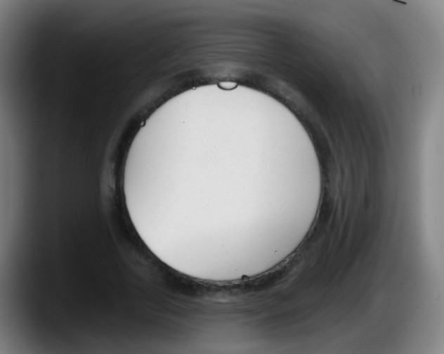 X0000087610731200705251942