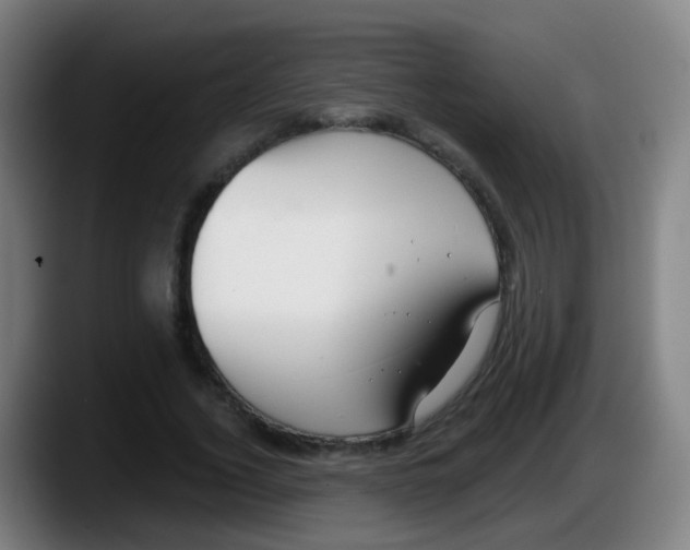 X0000087610732200705251942