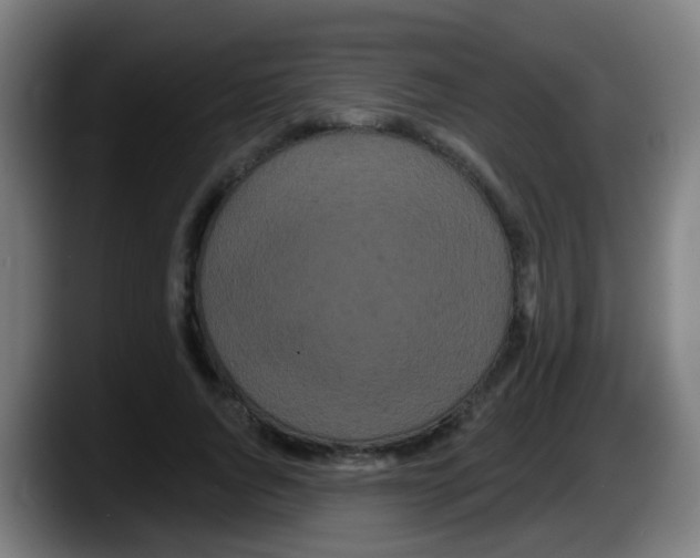 X0000087610736200705251942