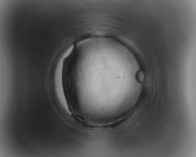 X0000087610738200705251942