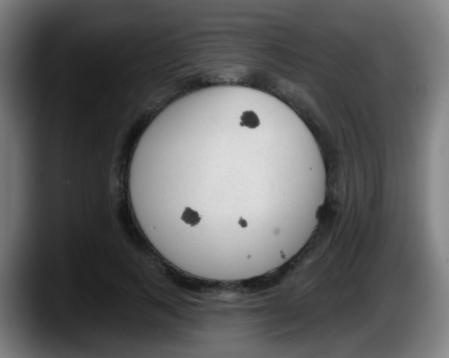 X0000087610743200705251942