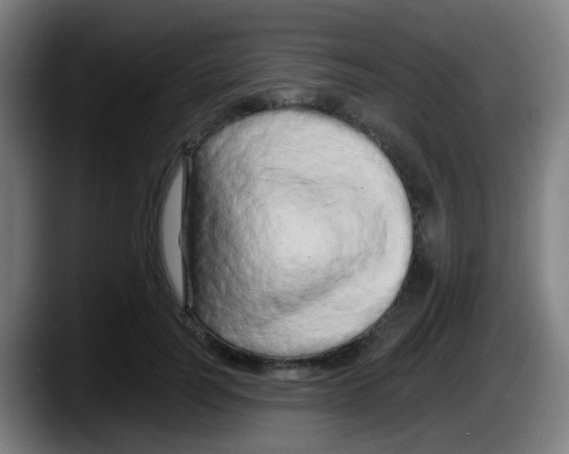 X0000087610746200705251942