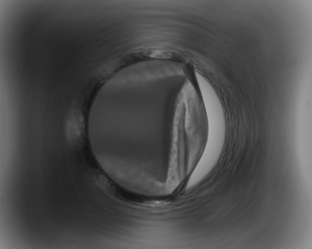 X0000087610748200705251942