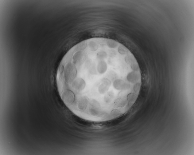 X0000087610753200705251942