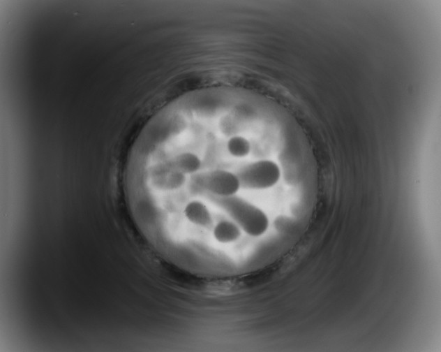 X0000087610757200705251942