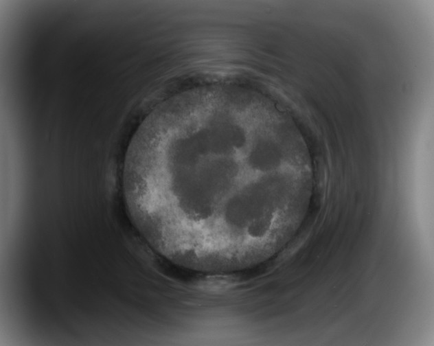 X0000087610758200705251942