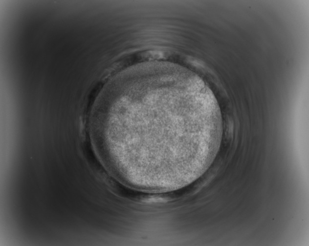 X0000087610759200705251942