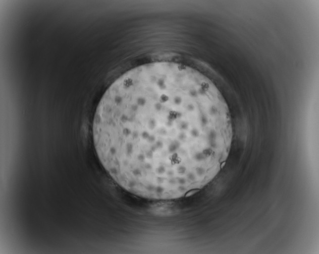 X0000087610761200705251942