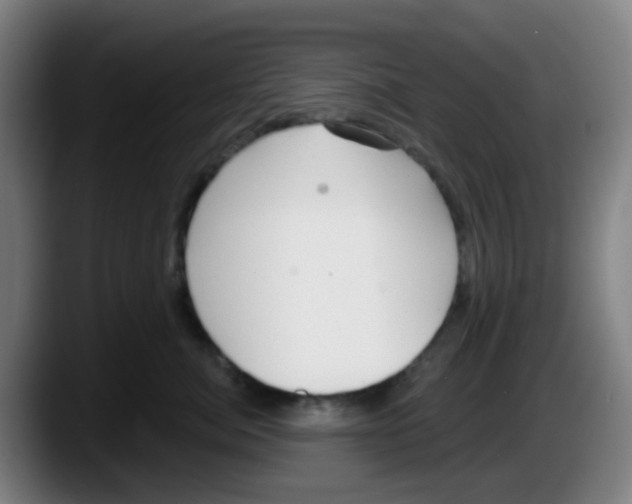 X0000087610764200705251942