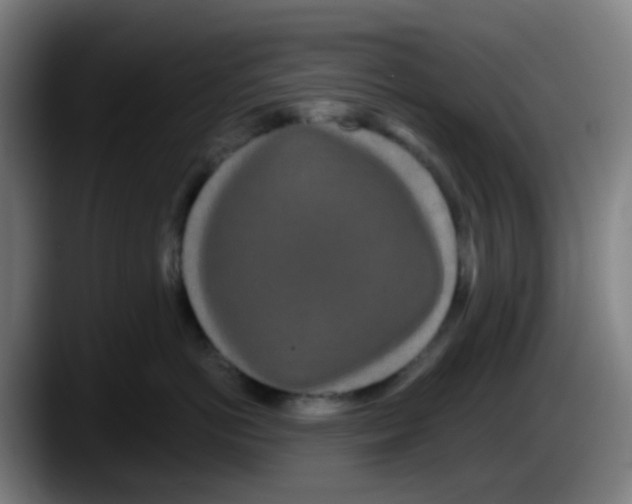 X0000087610766200705251942