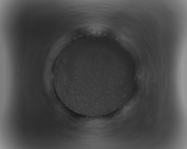 X0000087610769200705251942