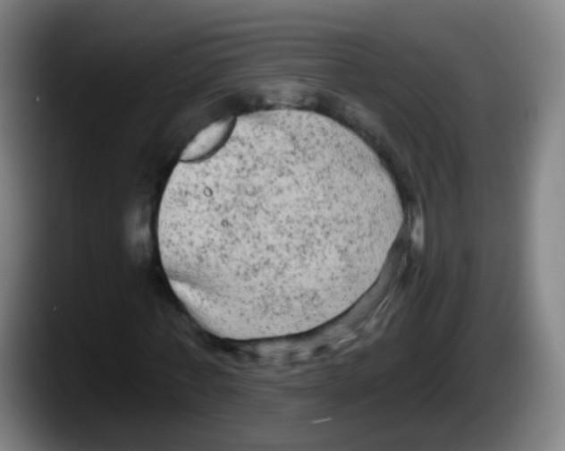 X0000087610771200705251942