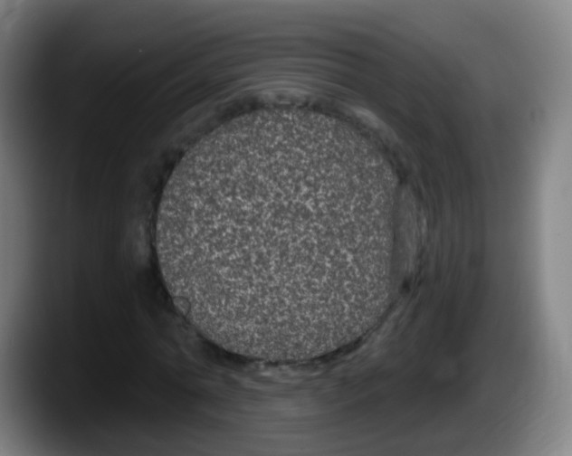 X0000087610774200705251941