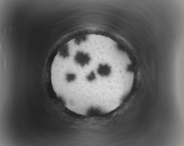 X0000087610776200705251941