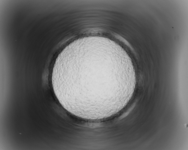 X0000087610778200705251941