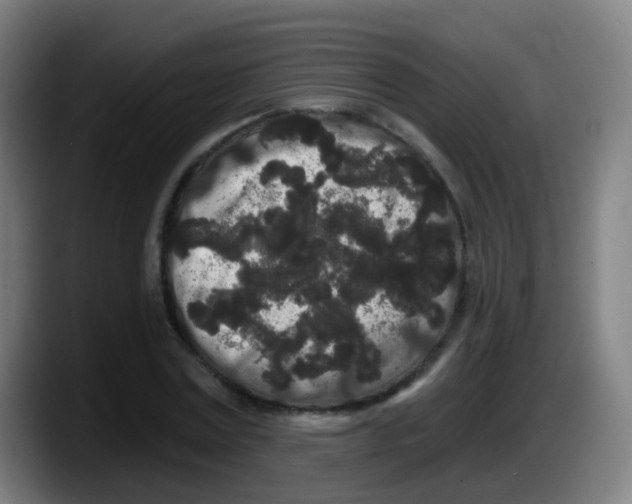 X0000087610779200705251941